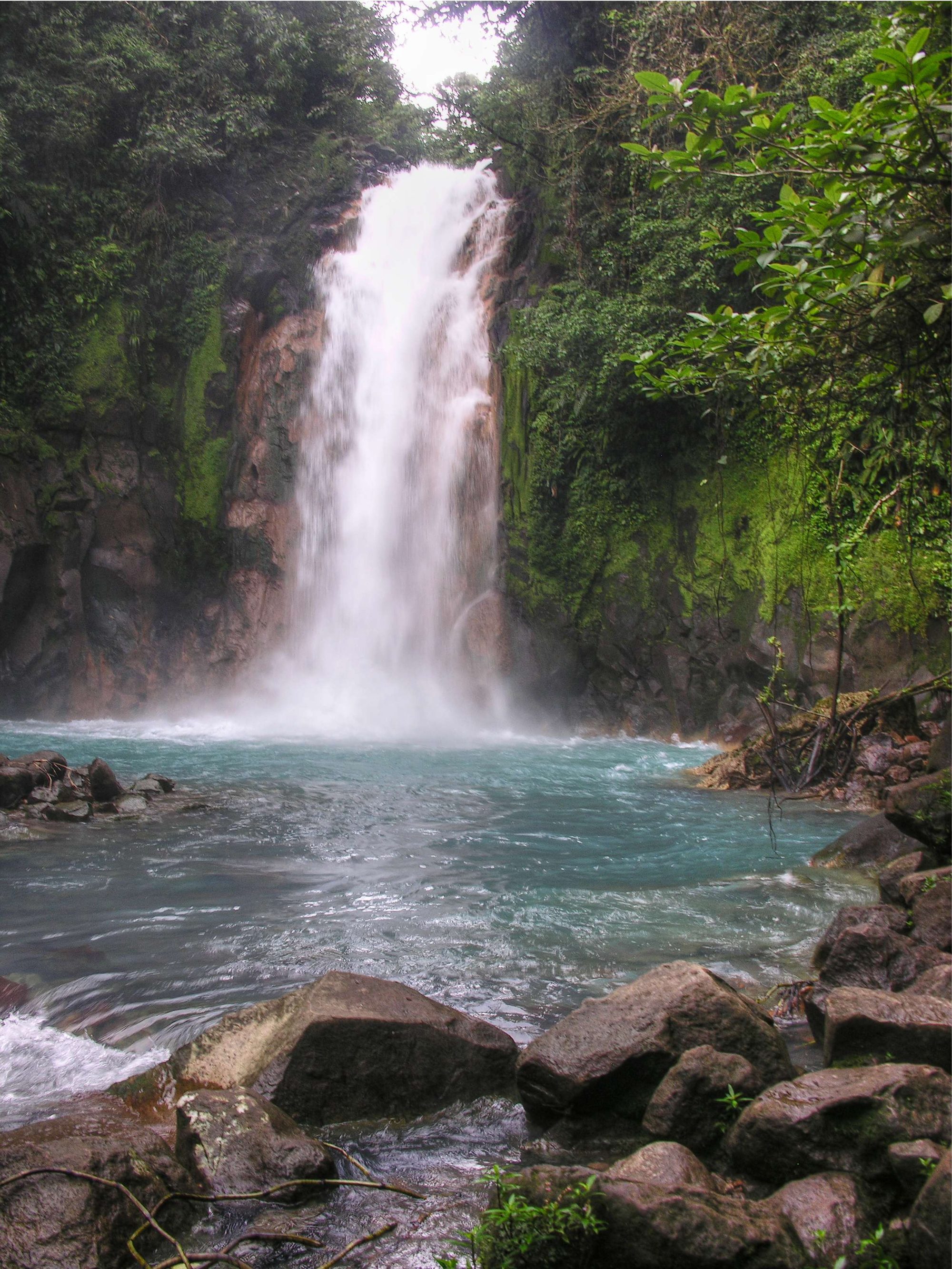 Costa Rica jungle