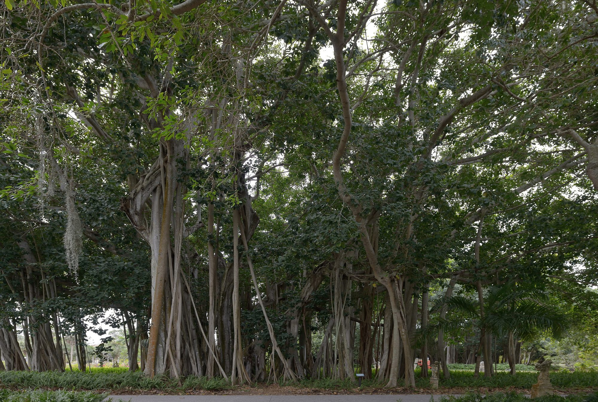 Florida