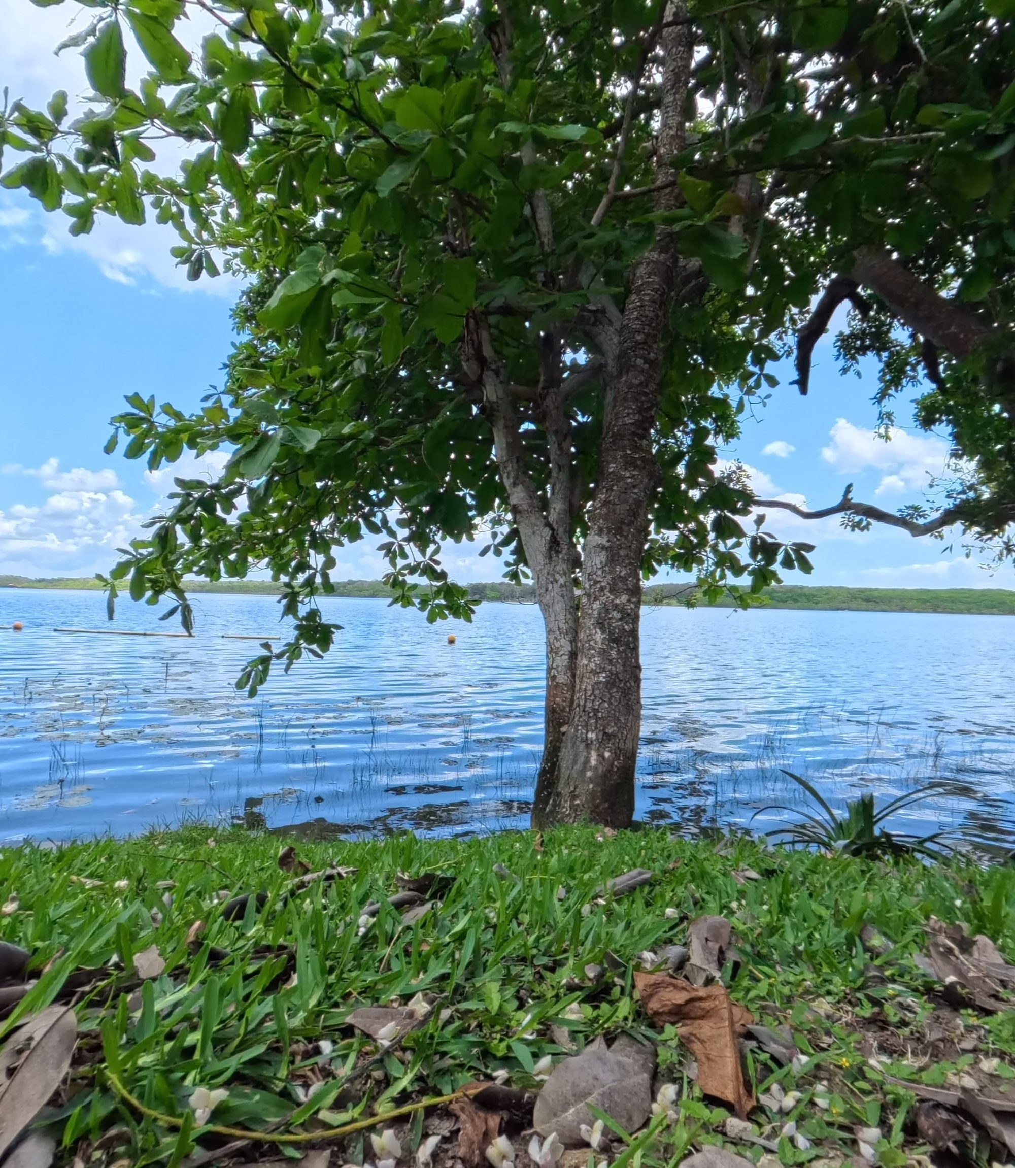 La Veleta, Tulum, Quintana Roo landscape