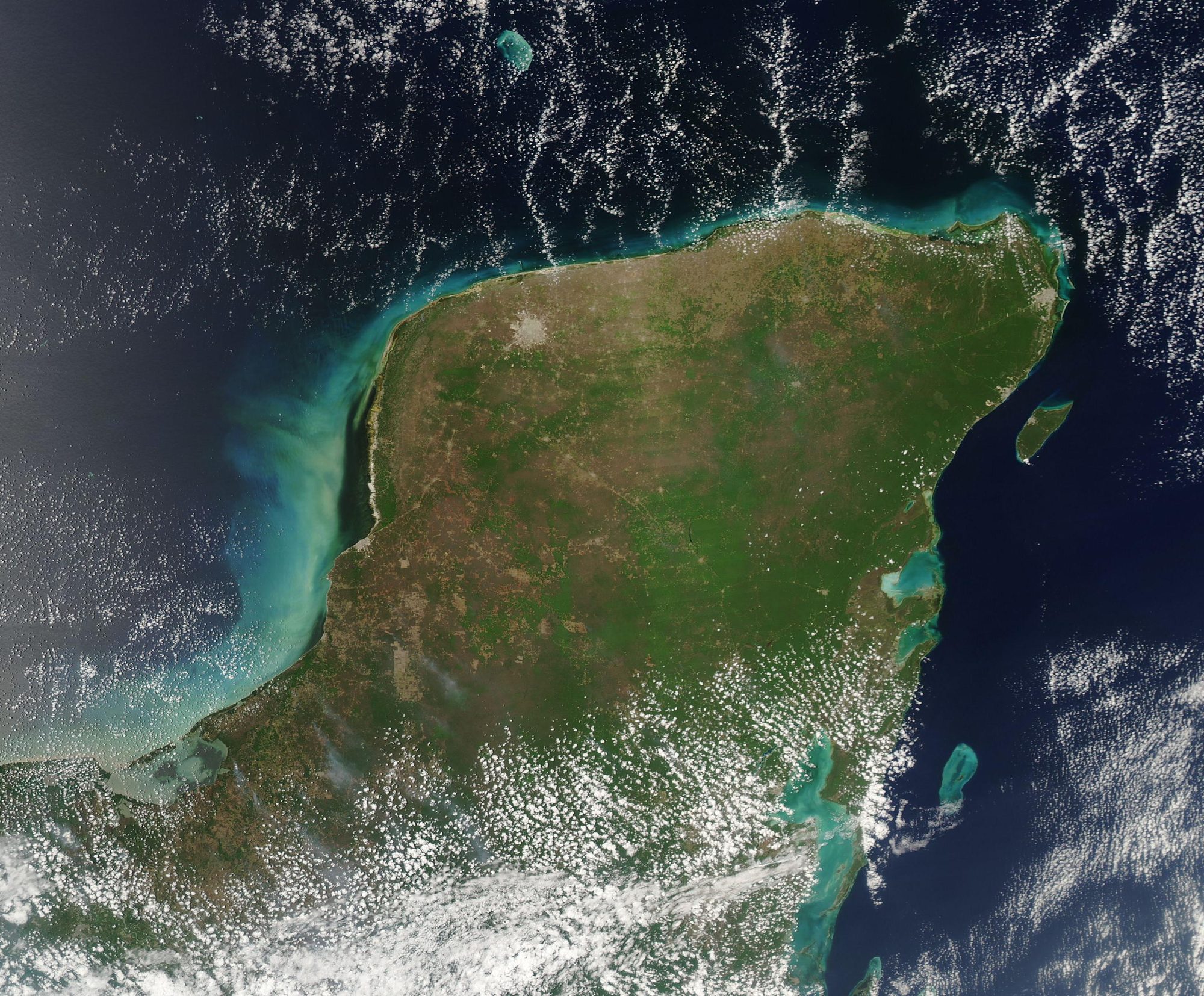 Tulum & the Maya Jungle jungle
