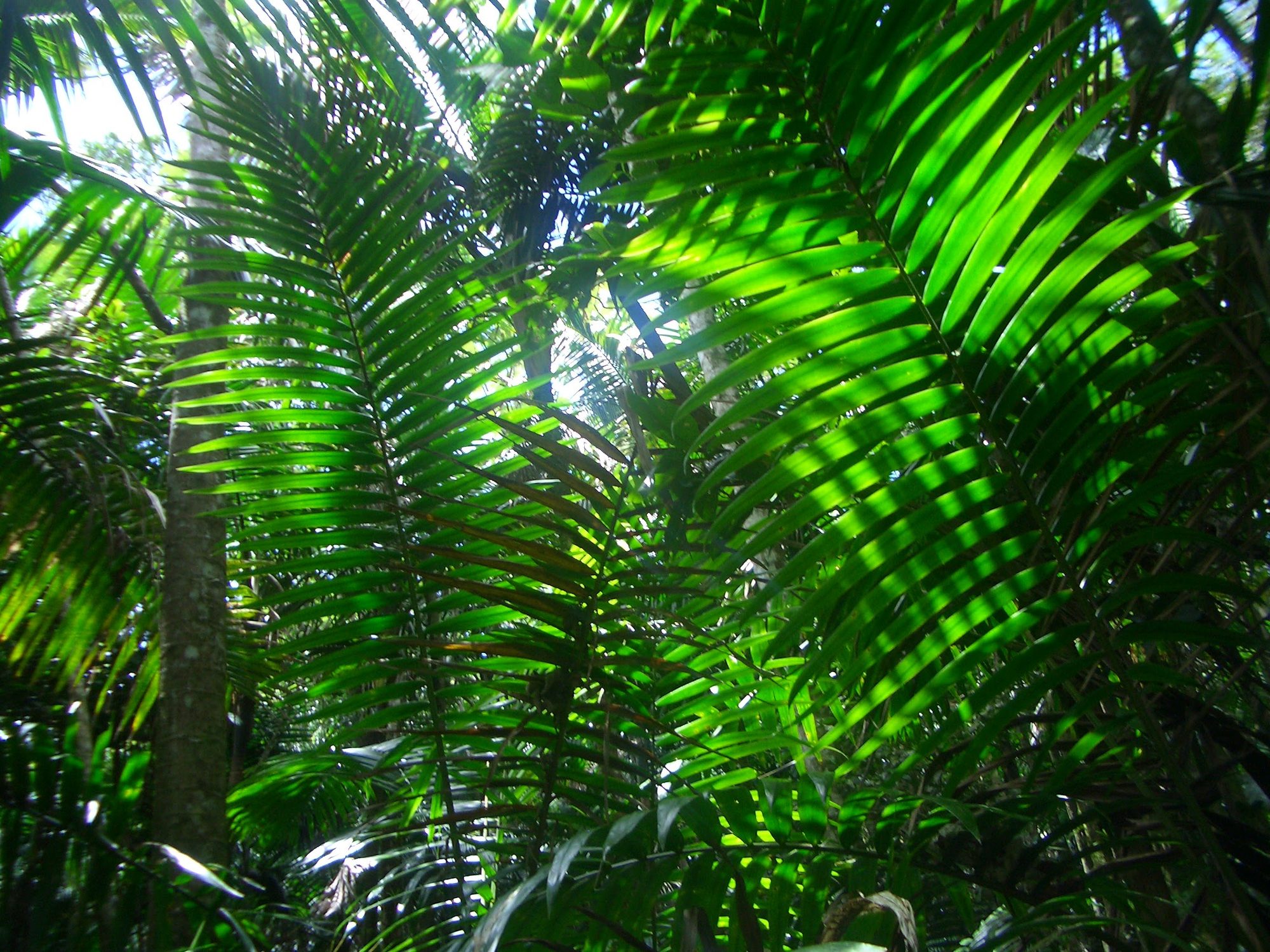 Puerto Rico