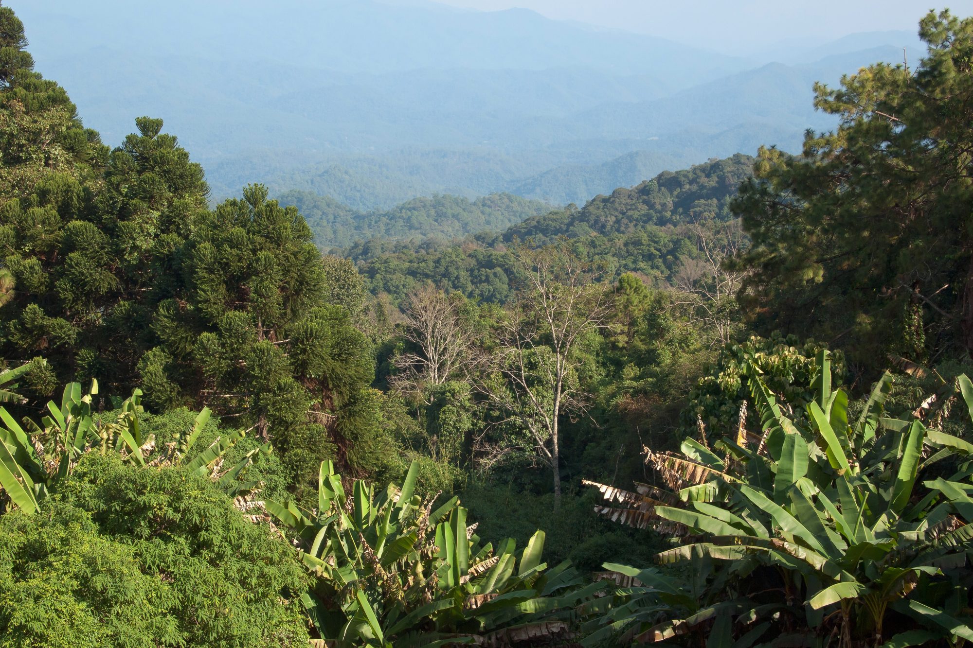 Choengmon, Koh Samui landscape